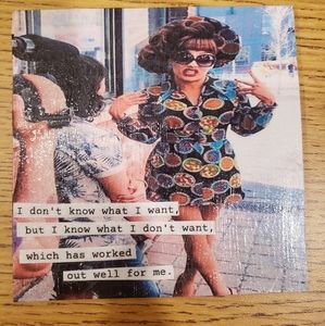 Rupaul's Drag Race, Bianca del Rio coaster